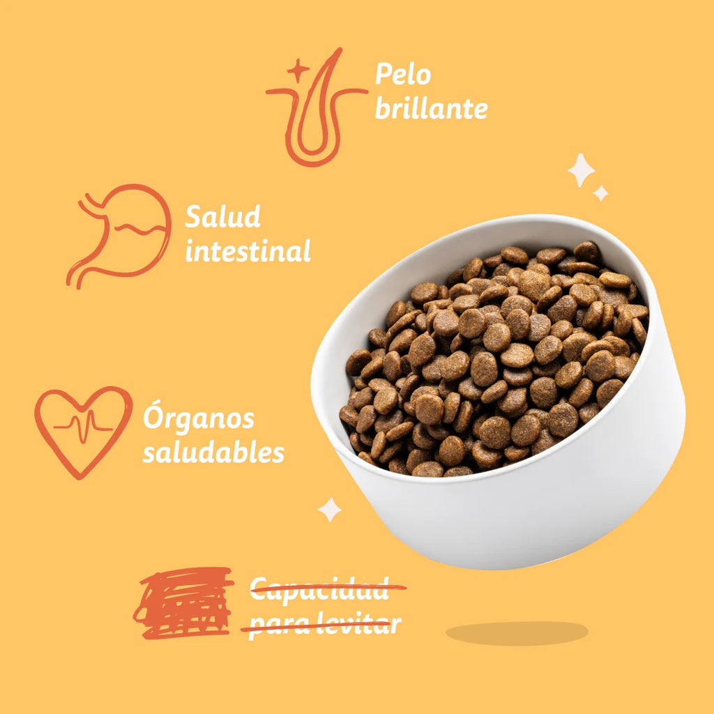 Pienso Edgard&Cooper Pollo Fresco sin Cereales 2,5kg