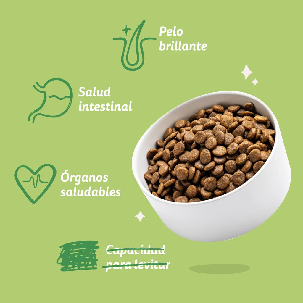 Pienso Edgard&Cooper Cordero fresco sin cereales 2,5kg