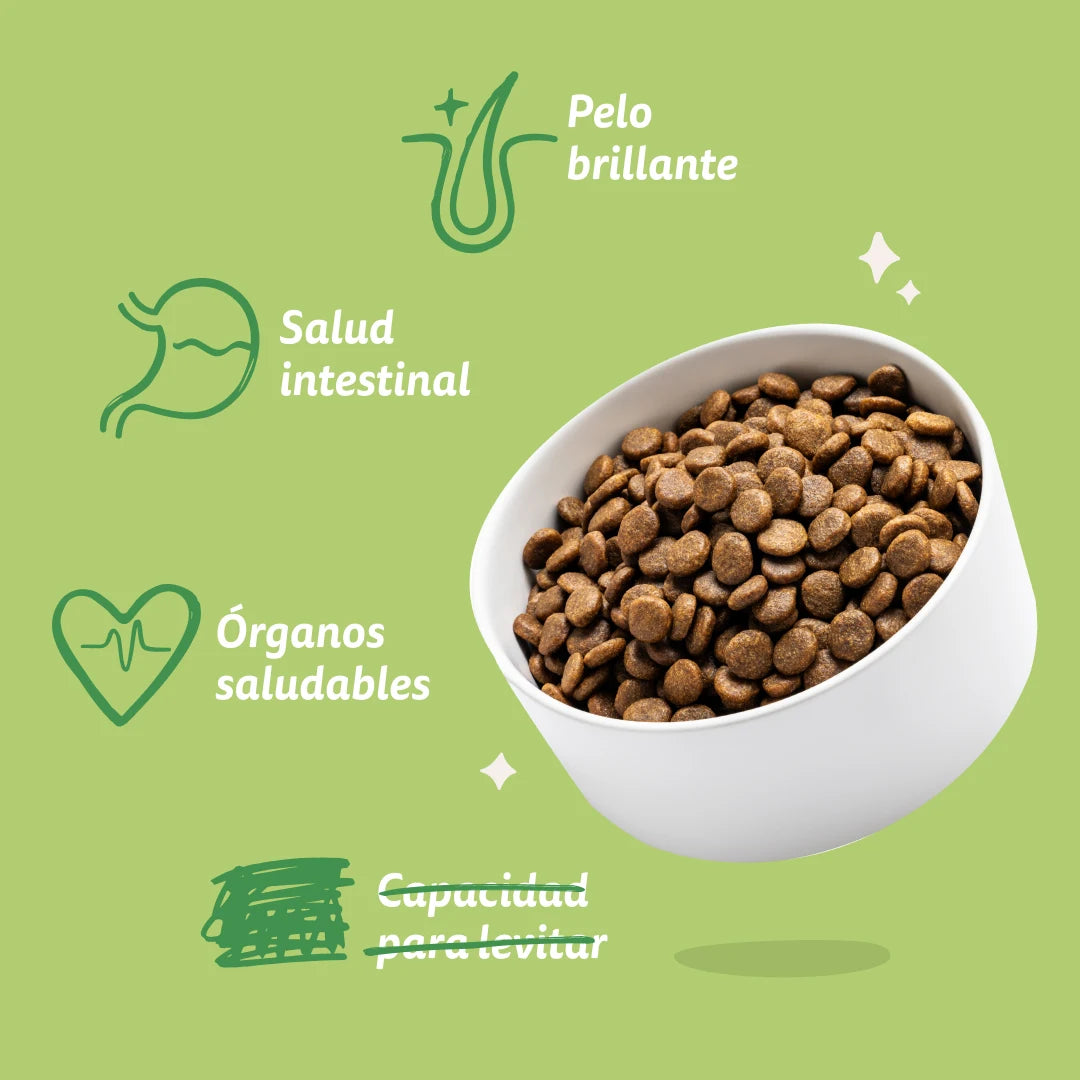 Pienso Edgard&Cooper Cordero fresco sin cereales 2,5kg