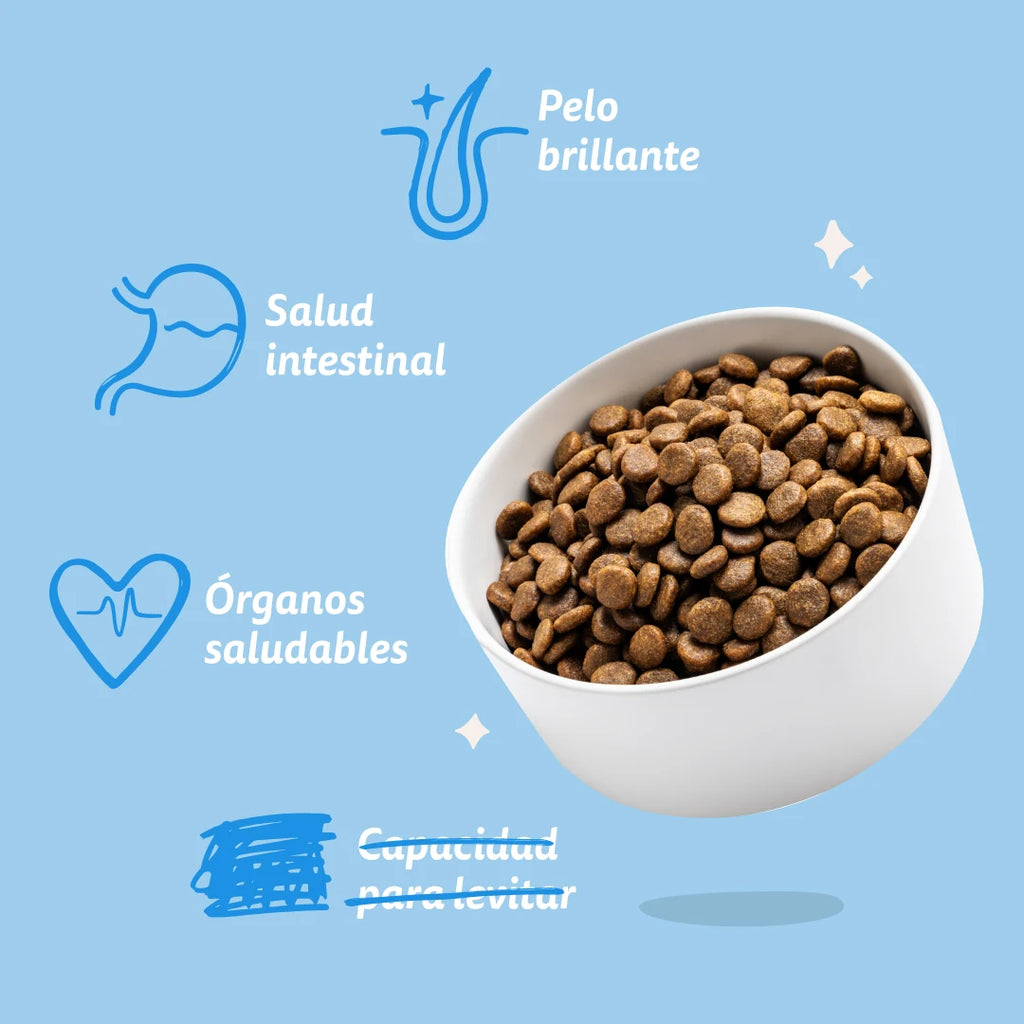 Pienso Edgard&Cooper Salmón Fresco sin Cereales 2,5kg