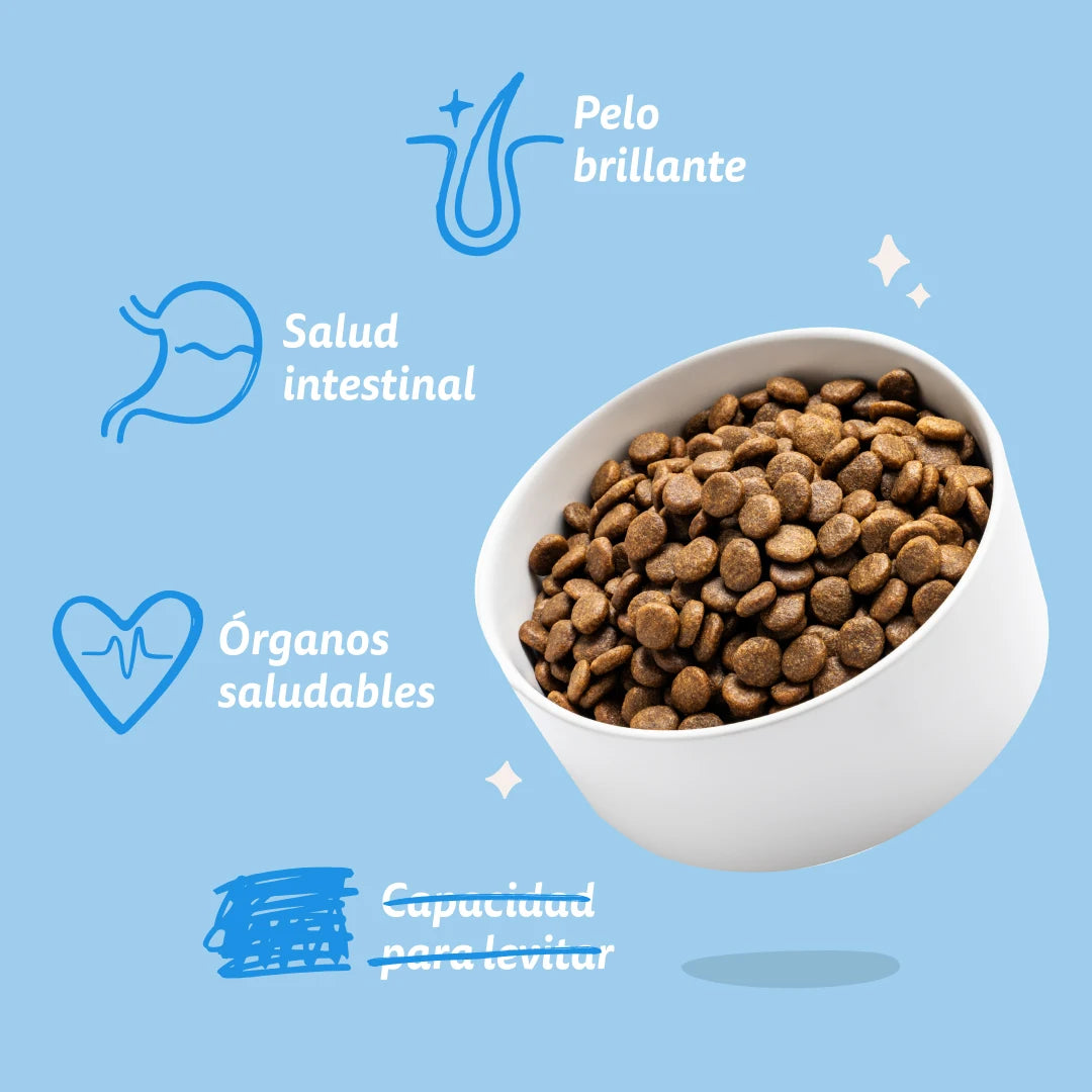 Pienso Edgard&Cooper Salmón Fresco sin Cereales 2,5kg