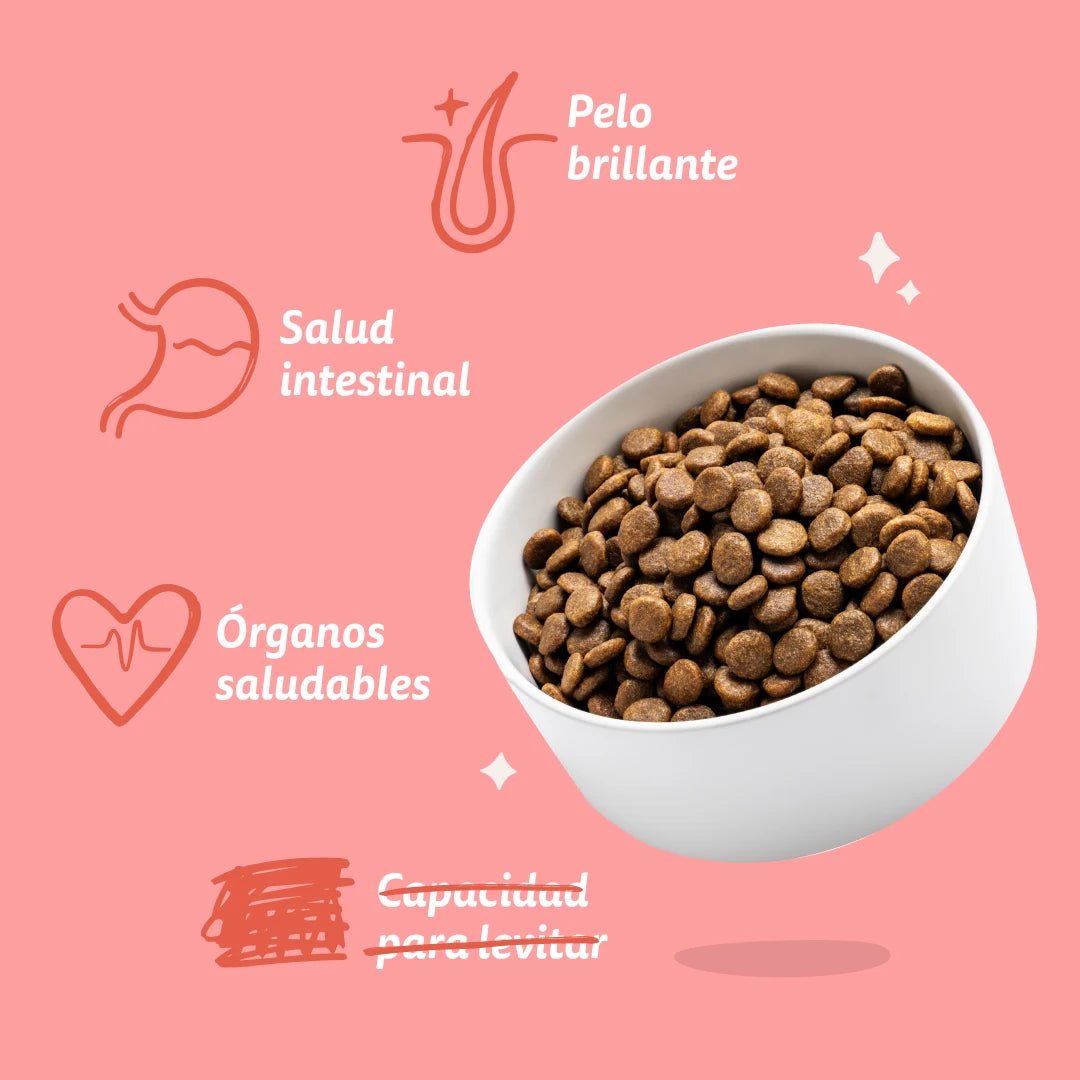 Pienso Edgard&Cooper Sénior Pollo y Salmón frescos 2,5kg