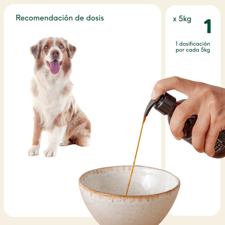 Aceite natural de sardina Wild Balance
