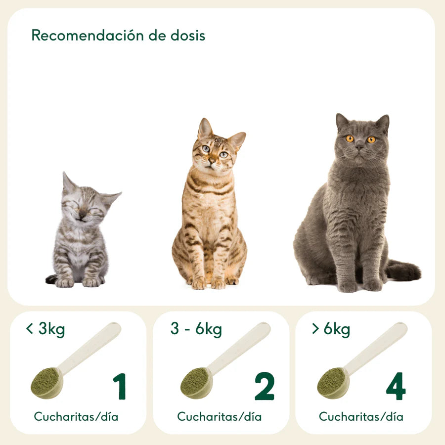 ARTICULACIONES DE ACERO Condroprotector natural Wild Balance