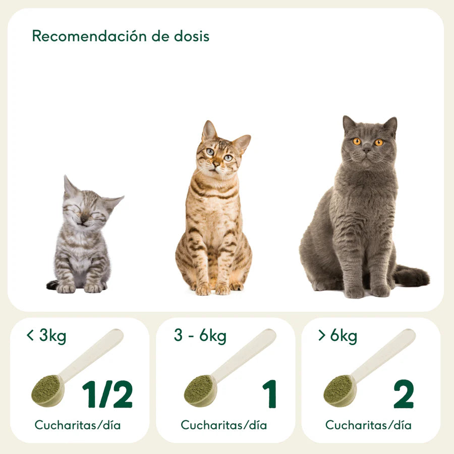 BIENESTAR URINARIO Suplemento para prevenir las infecciones de orina Wild Balance
