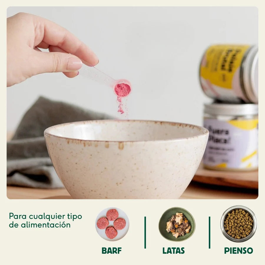 BIENESTAR URINARIO Suplemento para prevenir las infecciones de orina Wild Balance