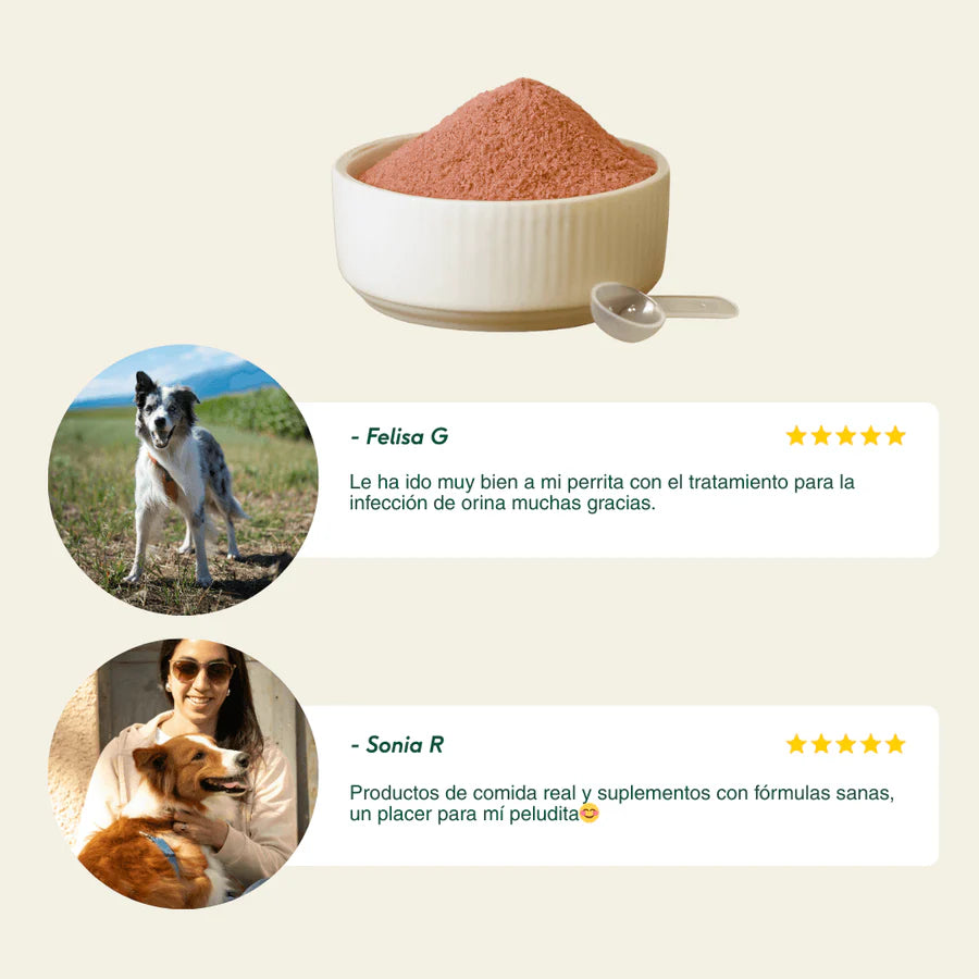 BIENESTAR URINARIO Suplemento para prevenir las infecciones de orina Wild Balance