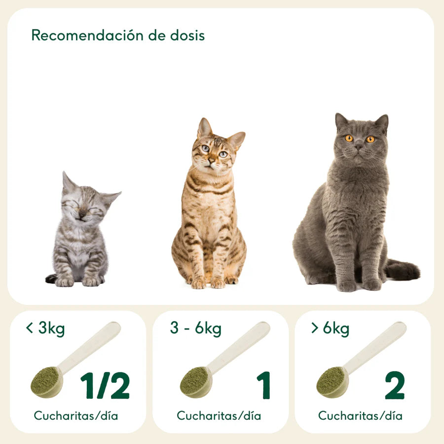PELAJE BRUTAL Suplemento para la salud de la piel y el pelo Wild Balance