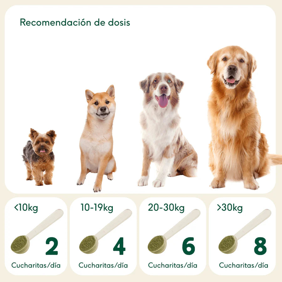 PELAJE BRUTAL Suplemento para la salud de la piel y el pelo Wild Balance