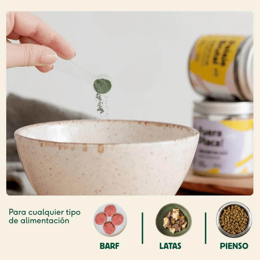 PELAJE BRUTAL Suplemento para la salud de la piel y el pelo Wild Balance