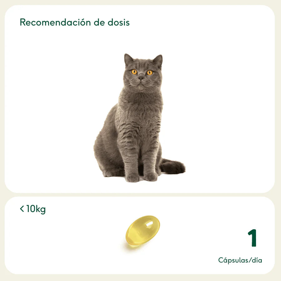 PELAJE RADIANTE Cápsulas Omega 3 de aceite de pescado Wild Balance