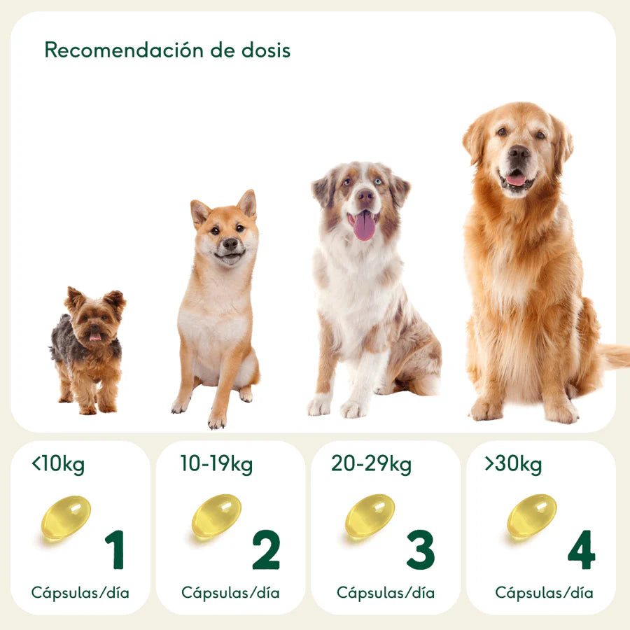 PELAJE RADIANTE Cápsulas Omega 3 de aceite de pescado Wild Balance