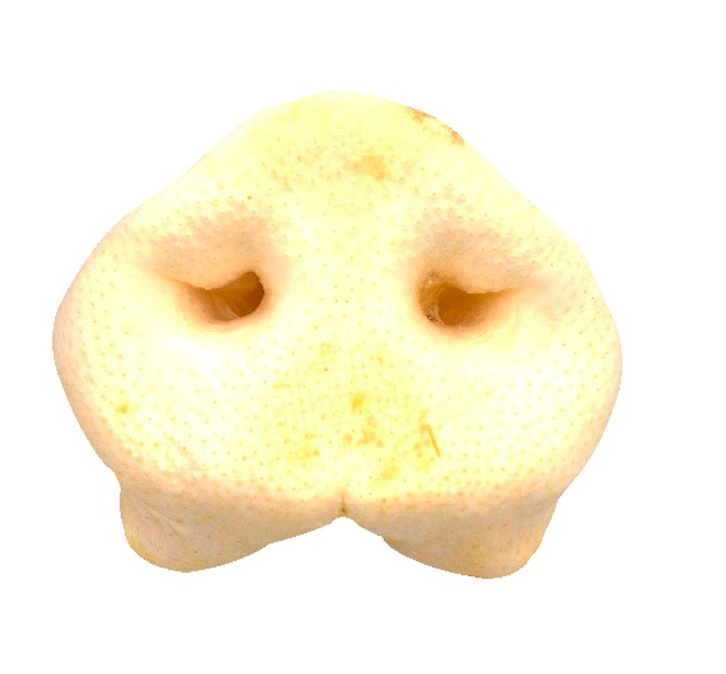 Morro de cerdo puffed